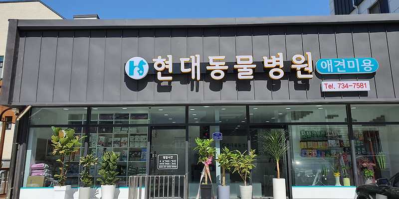 현대종합동물병원