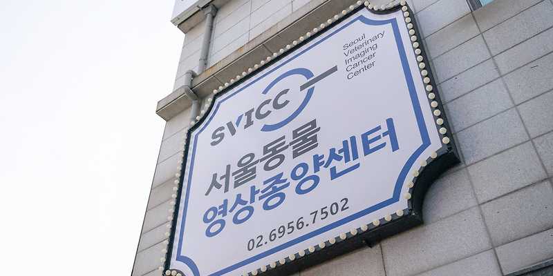 서울동물영상종양센터