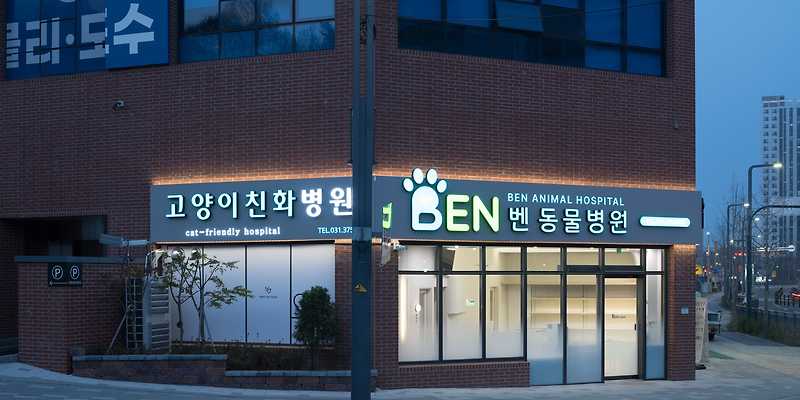 벤 동물병원