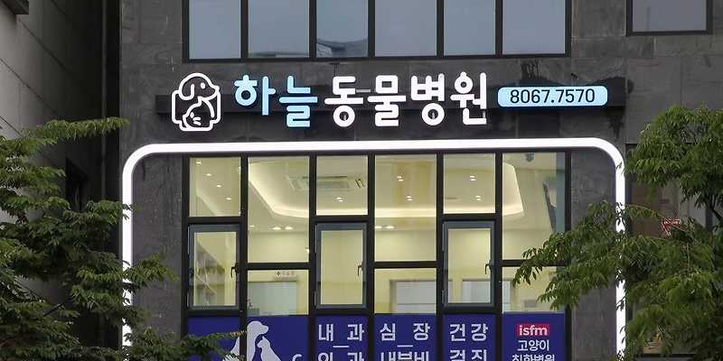 하늘동물병원
