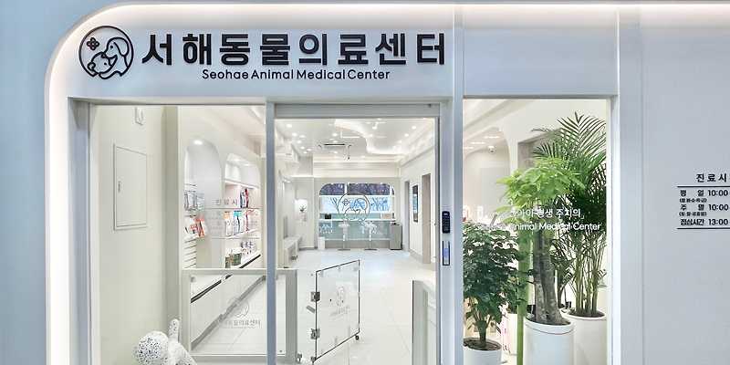 서해동물의료센터