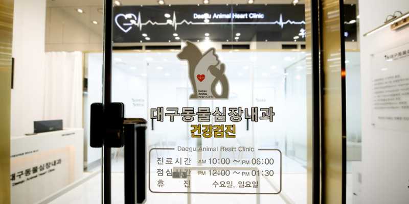 대구동물심장내과
