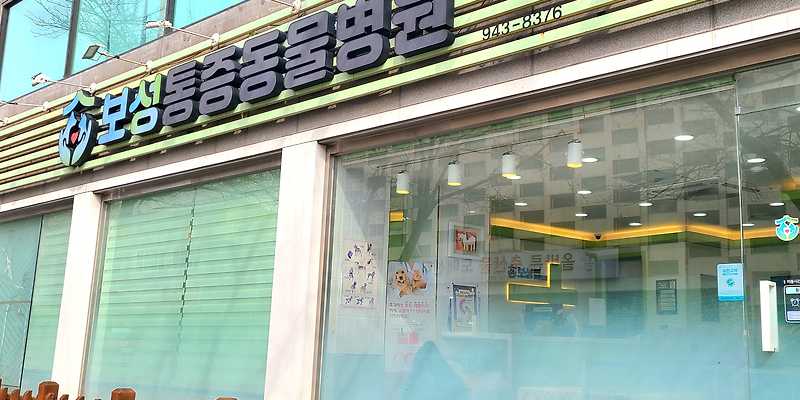 보성통증동물병원