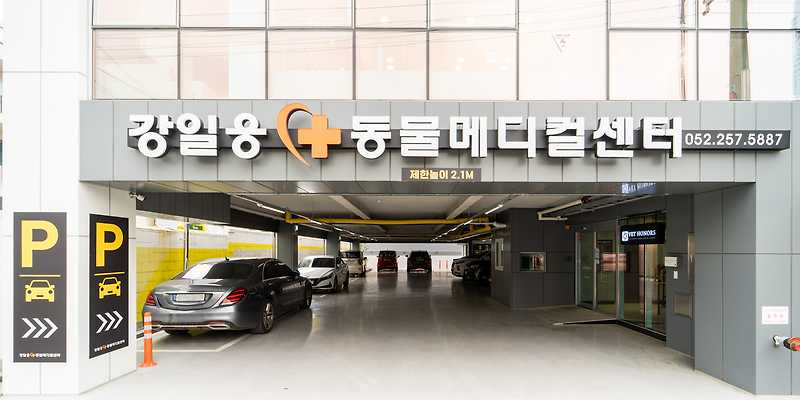 울산 강일웅동물메디컬센터
