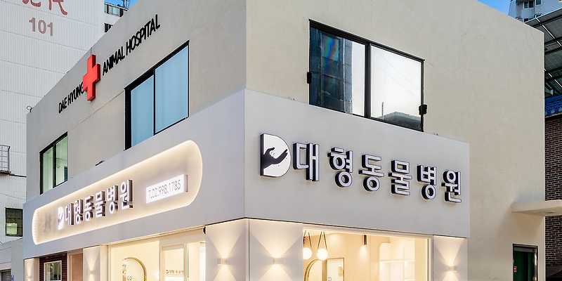 대형동물병원