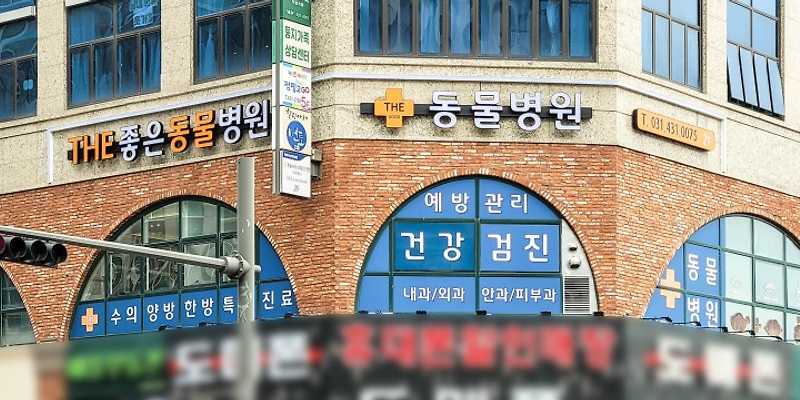 더좋은 동물병원