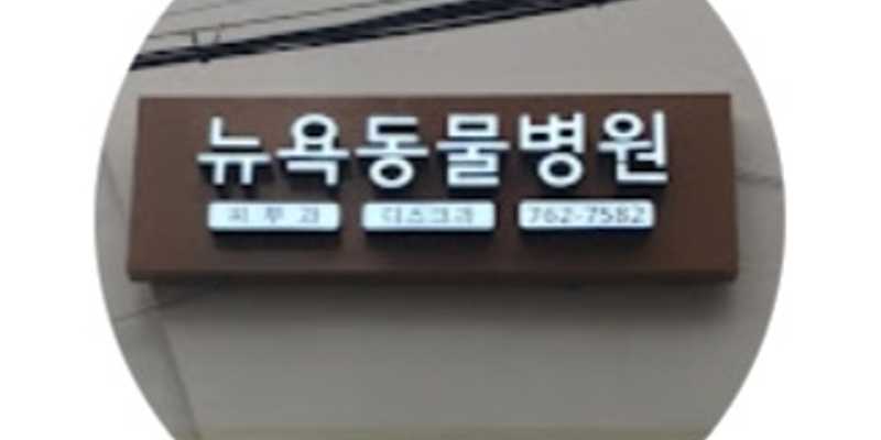 뉴욕동물병원