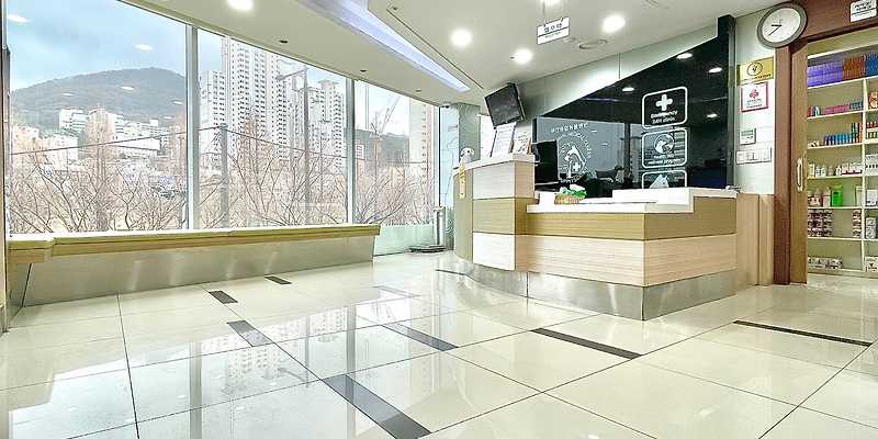 부산종합동물병원