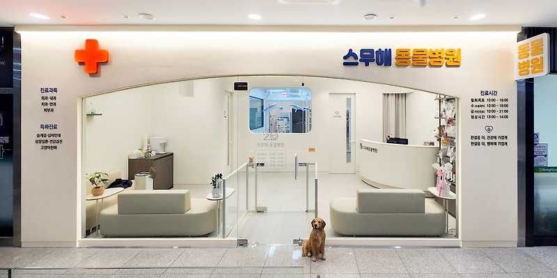 스무해 동물병원