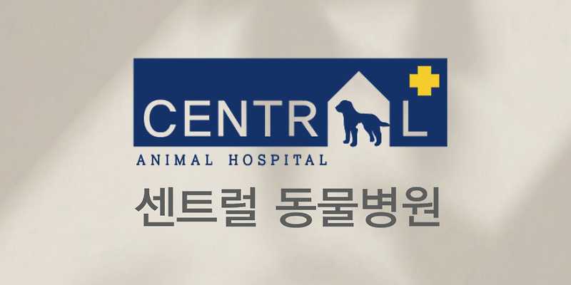 센트럴동물병원
