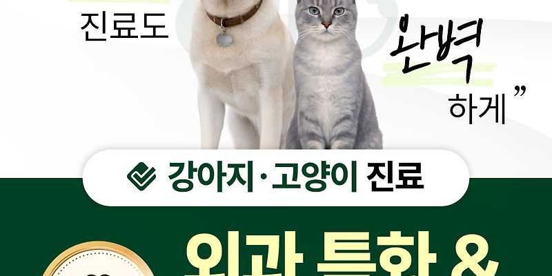 모리네동물의료센터
