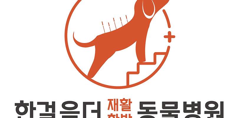 한걸음더 재활한방 동물병원