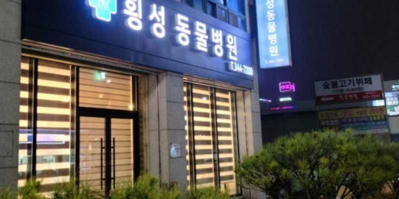 횡성동물병원
