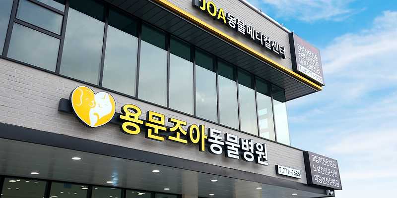 용문동물병원
