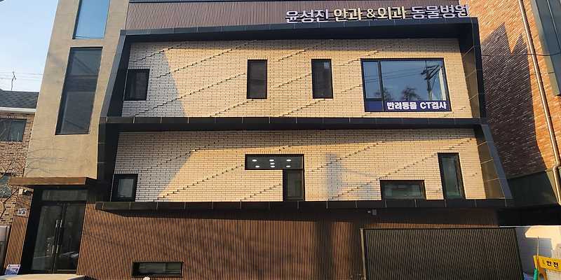 윤성진안과외과동물병원