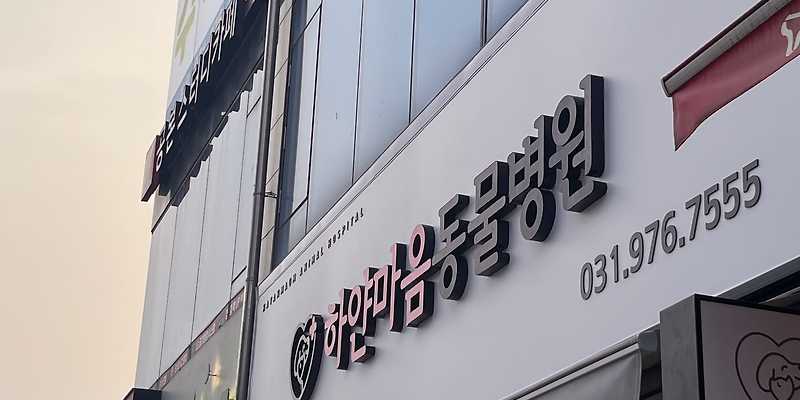하얀마음동물병원