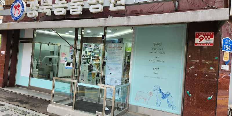 강북동물병원