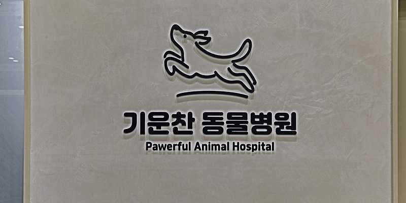 기운찬 동물병원