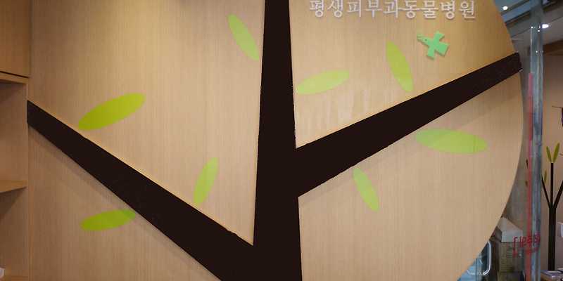 평생피부과동물병원