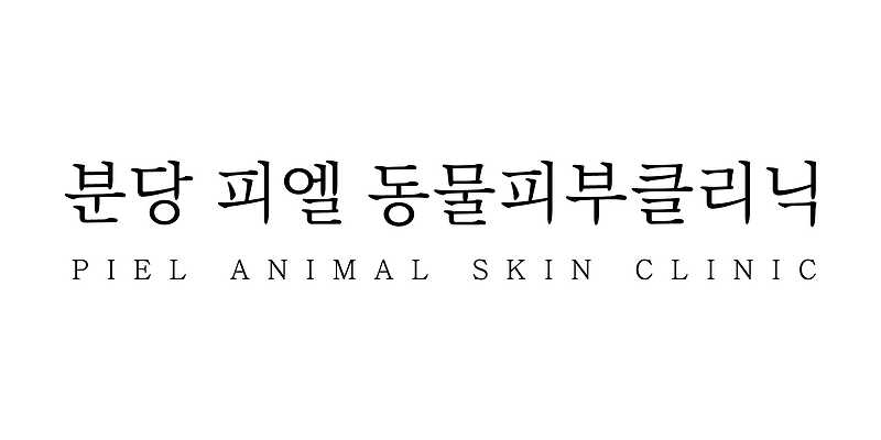 분당 피엘 동물피부클리닉
