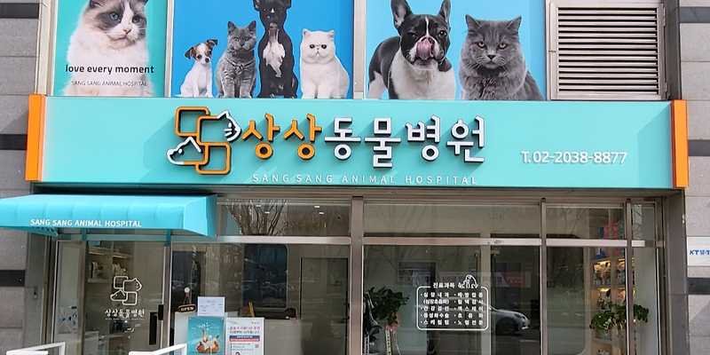 상상동물병원