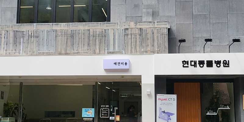 현대동물병원