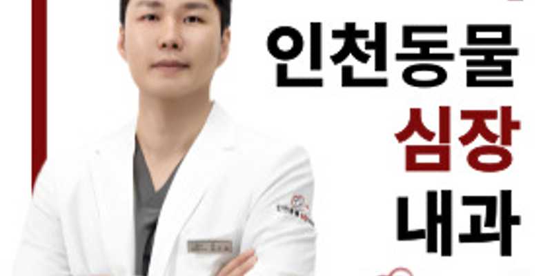 인천동물심장내과