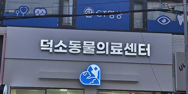 덕소동물의료센터