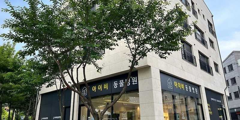 아이비동물병원