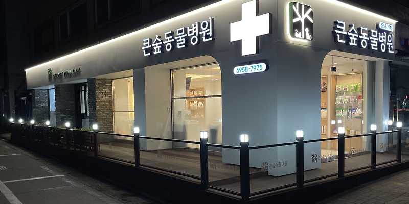 강동큰숲동물병원