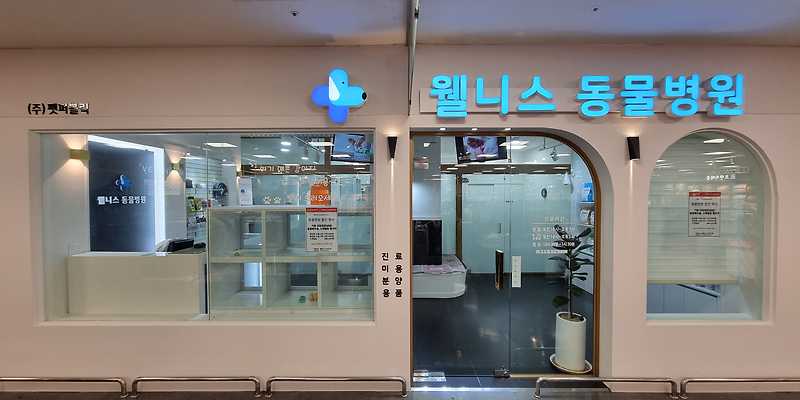 웰니스동물병원