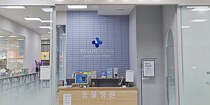 웰니스동물병원