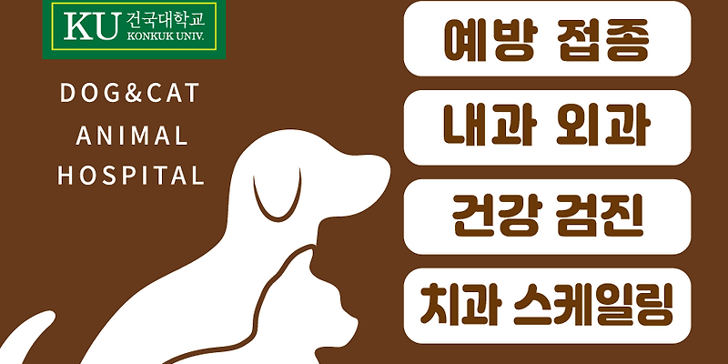 멍냥 동물병원
