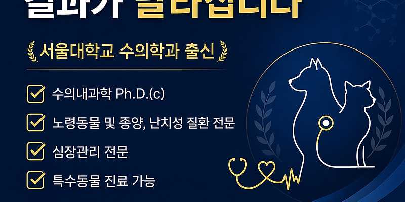 서울든든동물병원