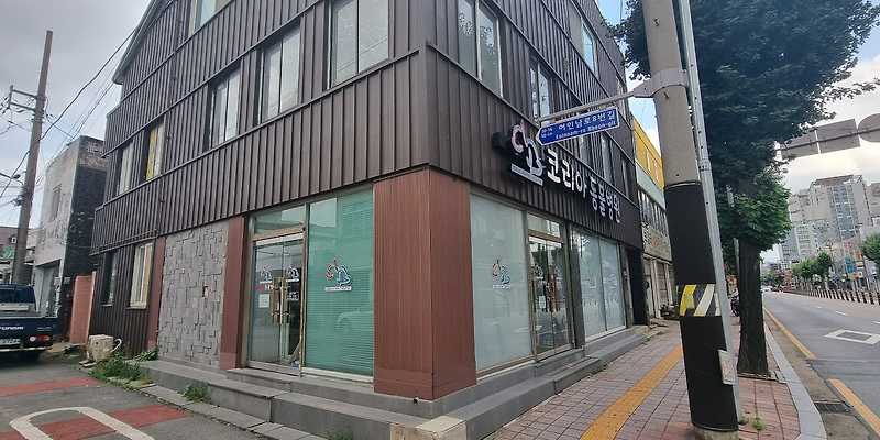코리아동물병원