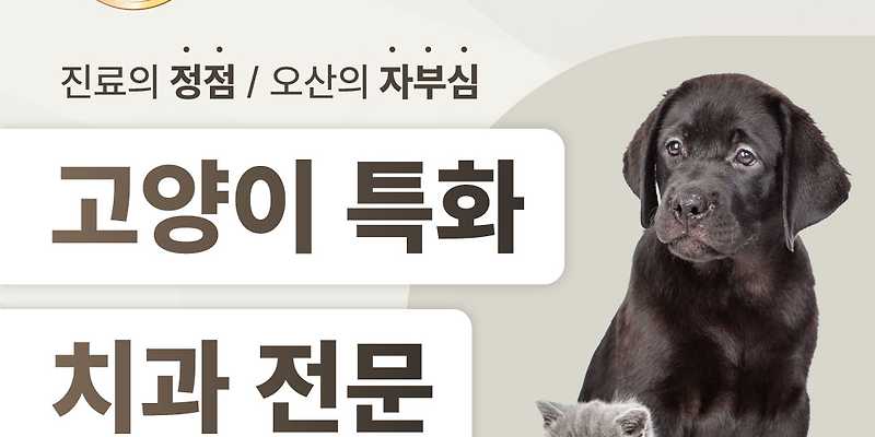 네스트동물의료센터