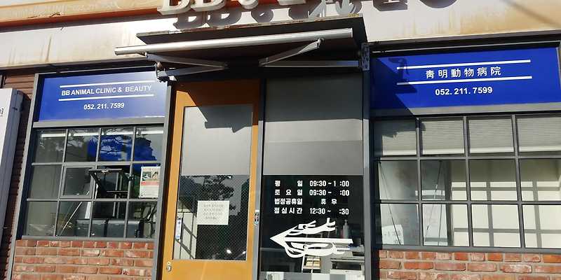 BB동물병원