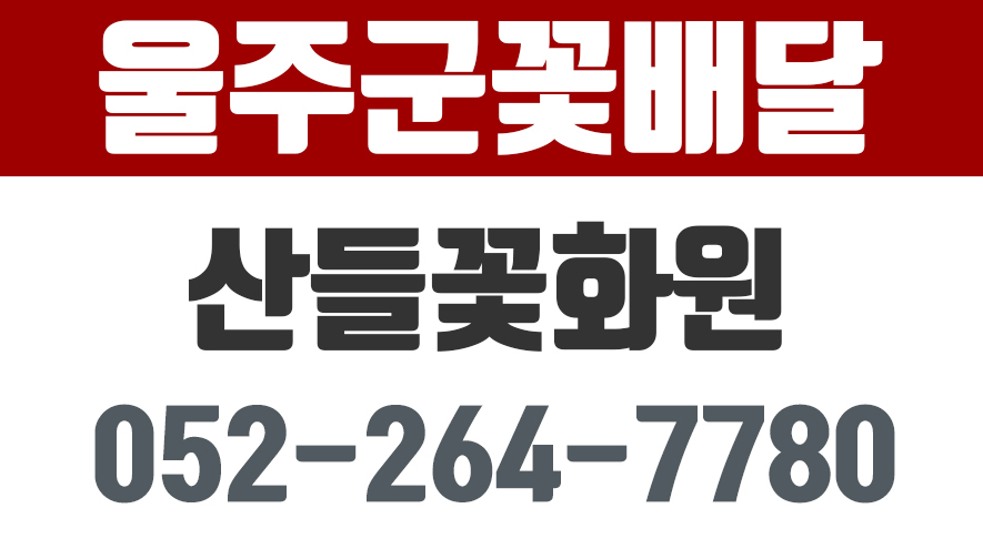 산들꽃화원,울주군꽃배달,울주군꽃집,울주군꽃바구니 - kakaoTV 산들꽃화원,울주군꽃배달,울주군꽃집,울주군꽃바구니