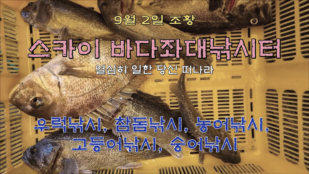 스카이바다좌대낚시터 9월 2일 조황 - kakaoTV 스카이바다좌대낚시터 9월 2일 조황
