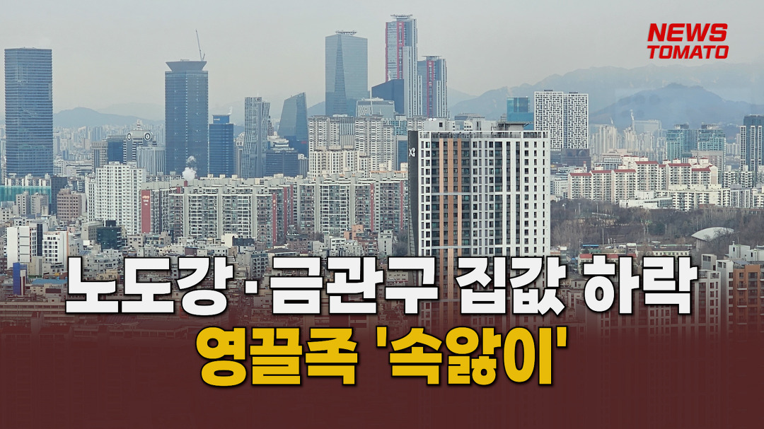 노도강·금관구 집값 하락 [말하는 기자들_건설부동산_1220] - kakaoTV 노도강·금관구 집값 하락 [말하는 기자들_건설부동산_1220] 
