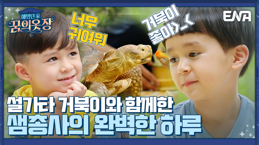 "거북이 쉬고 싶대요!"  거북이 표정만 봐도 마음이 통하는 벤틀리❤ I 해밍턴家(가) 꿈의 옷장 11회