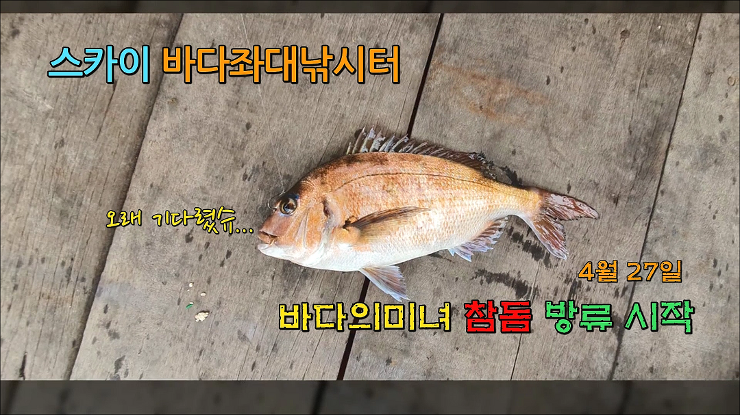스카이 바다좌대낚시터 4월 27일 참돔방류 - kakaoTV 스카이 바다좌대낚시터 4월 27일 참돔방류