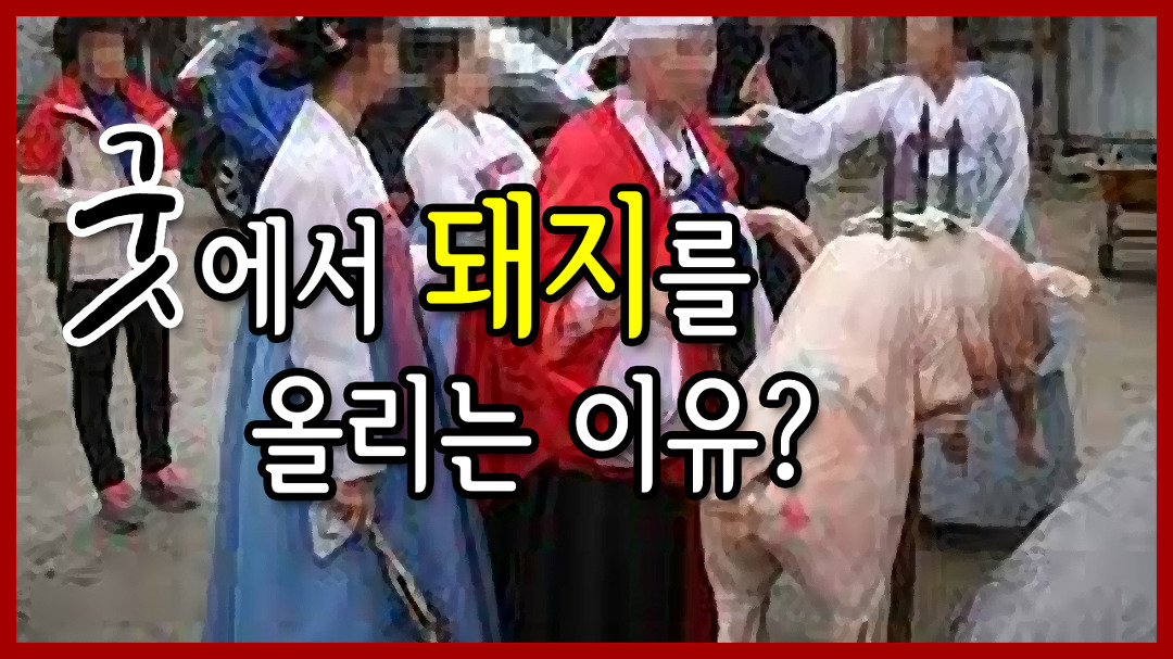 굿에서 돼지를 올리는 이유 서울용한 점집 선미보살 - kakaoTV 굿에서 돼지를 올리는 이유 서울용한 점집 선미보살