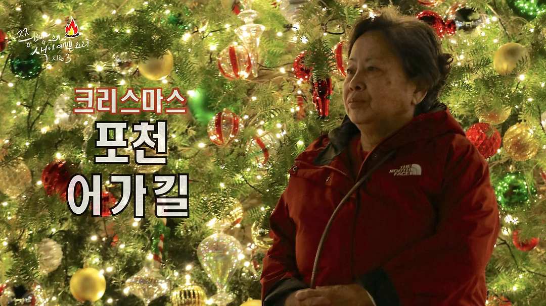 포천 어가길 베이커리카페! - kakaoTV 크리스마스 트리 포토존으로 인스타에서 유명해진 포천 어가길 베이커리카페!