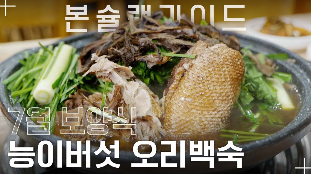 담백 쫄깃한 능이버섯오리백숙~ / 올능이능이버섯백숙 / 월간본슐랭가이드 - kakaoTV 보양식의 왕! 담백 쫄깃한 능이버섯오리백숙... 