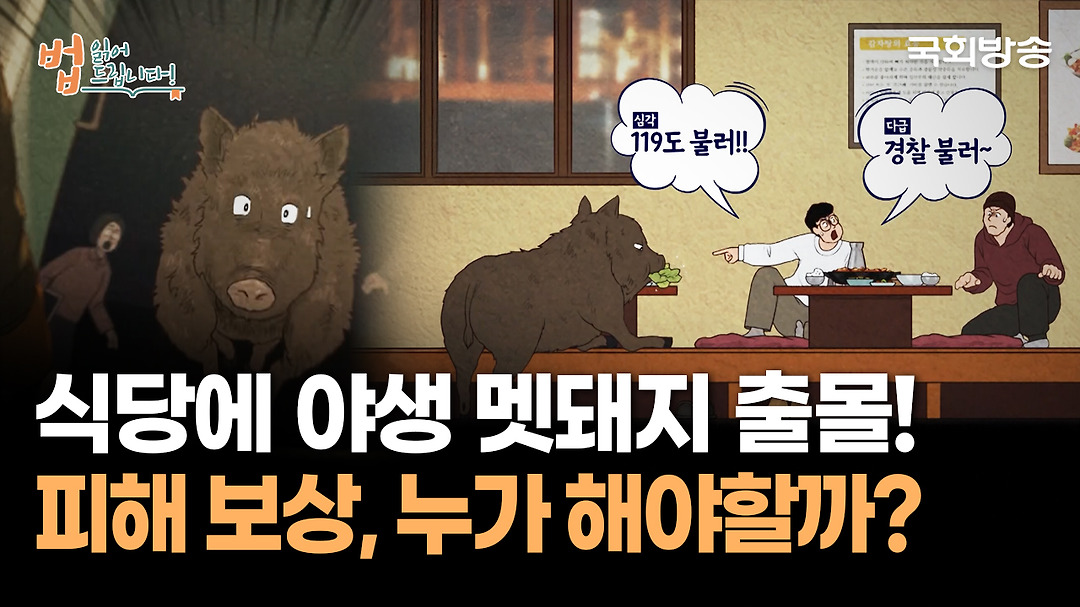 식당에 야생 멧돼지 출몰! 피해 보상, 누가 해야 할까? | 법읽어드립니다 | 국회방송 - kakaoTV 식당에 야생 멧돼지 출몰! 피해 보상, 누가 해야... 