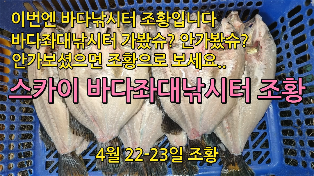 스카이 바다좌대낚시터 4월 23일 조황 - kakaoTV 스카이 바다좌대낚시터 4월 23일 조황
