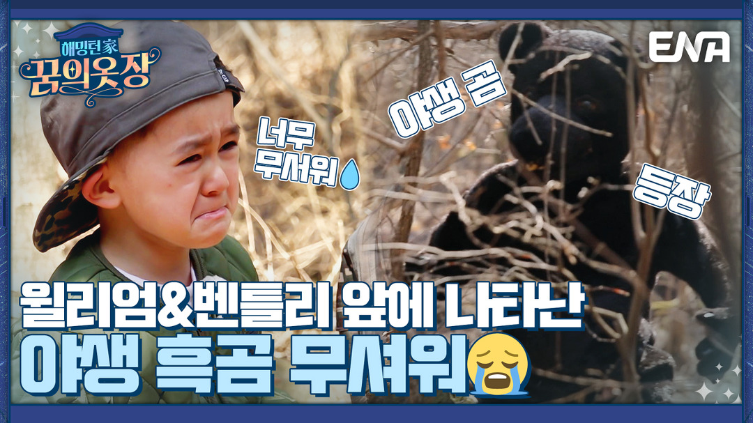 흑곰?이 나타났다!! 흑곰과 마주한 순간 사라진 '허세 벤' I 해밍턴家(가) 꿈의 옷장 1회