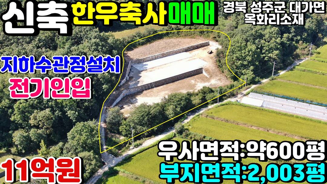 NO:1-641번#성주군땅.성주땅.성주군부동산.성주부동산.성주군대가면옥화리신축한우축사.성주군한우축사.소우사 - kakaoTV NO:1-641번#성주군땅.... 