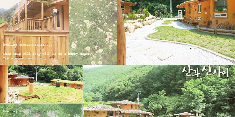산과산사이 경상 애견숙소
